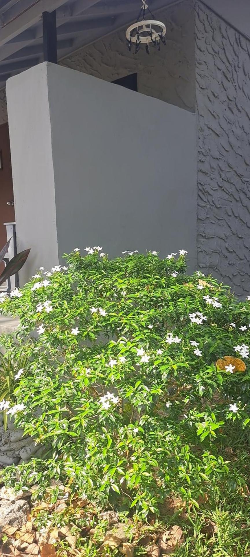Siam Flora Resort Ko Lanta Екстериор снимка